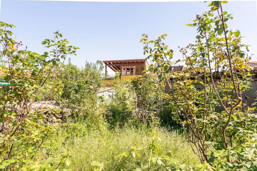 Talaveruela Casa La Vera Rural מראה חיצוני תמונה